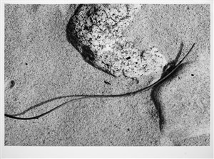 Image description is not available for 2024.062